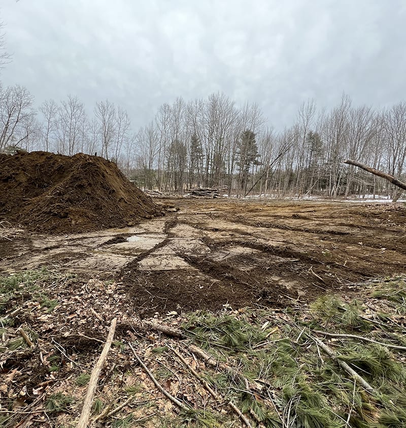 land being cleared for development